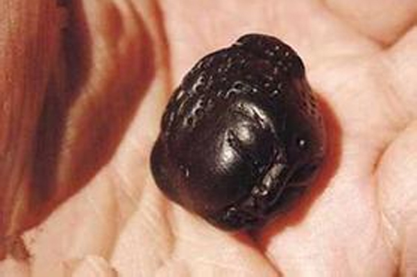 点击图片进入下一页